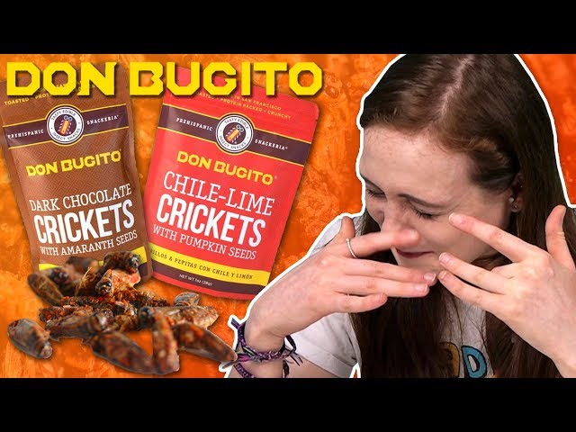 Irish People Try Bugitos Bug Snacks