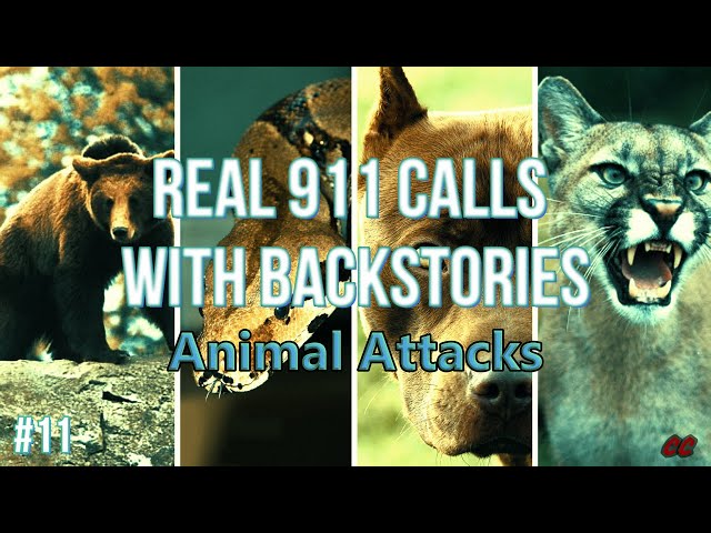 #11 | Animal Attacks | 5 True Emergency Calls With Backstories