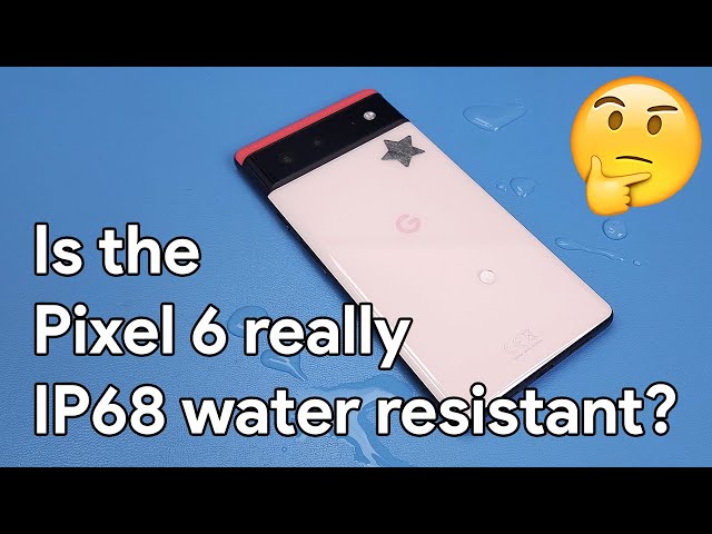 Housemate Drops Her Pixel 6 In Water