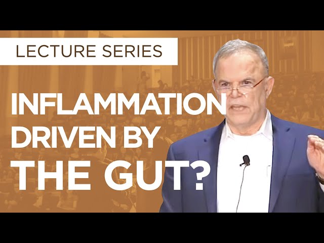 The Gut As A Driving Force of Inflammation