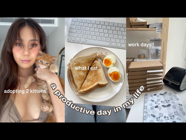 Productive day in my life 🐈 🍳 what I eat, work days & adopting kittens