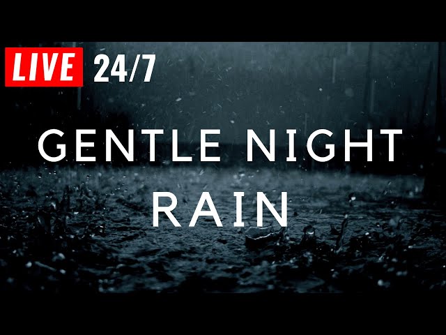 🔴 Gentle NIGHT RAIN Black Screen to Sleep FAST, Beat Insomnia. Relax, Study to Rain LIVE 24/7