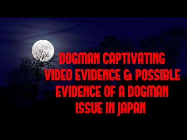 DOGMAN CAPTIVATING VIDEO EVIDENCE & POSSIBLE EVIDENCE OF A DOGMAN ISSUE IN JAPAN