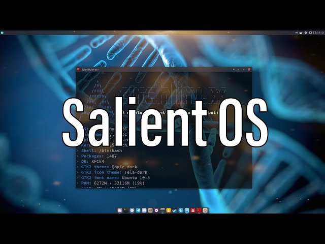 Salient OS | My Final Thoughts