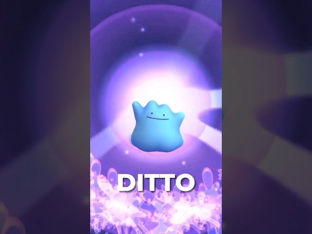 How to Catch SHINY Ditto (MAY 2024)
