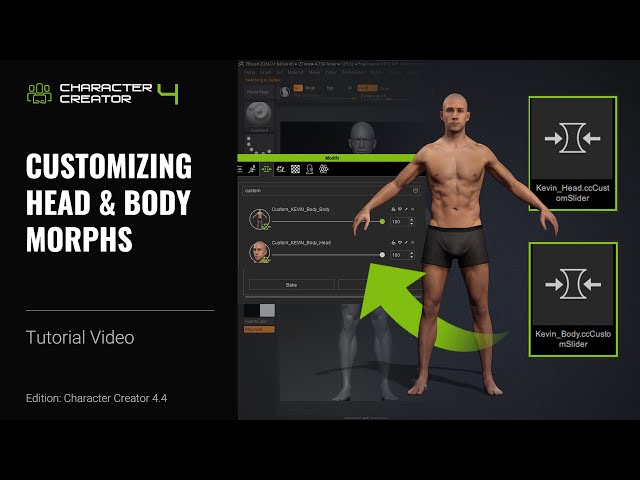 Customizing Head & Body Morphs | 3D Scan Pipeline Tutorial Part 6