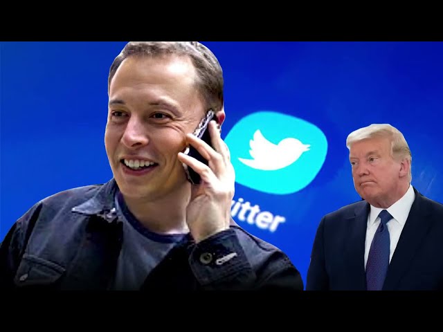 Elon Musk would reverse Donald Trump's Twitter ban