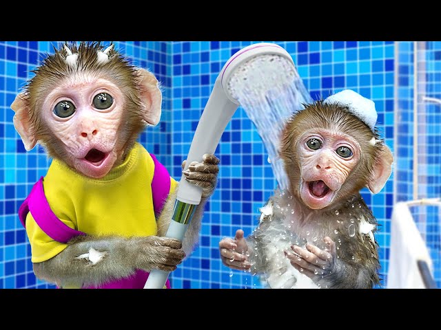 KiKi Monkey baths in the toilet and eat ice cream in the garden | KUDO ANIMAL KIKI
