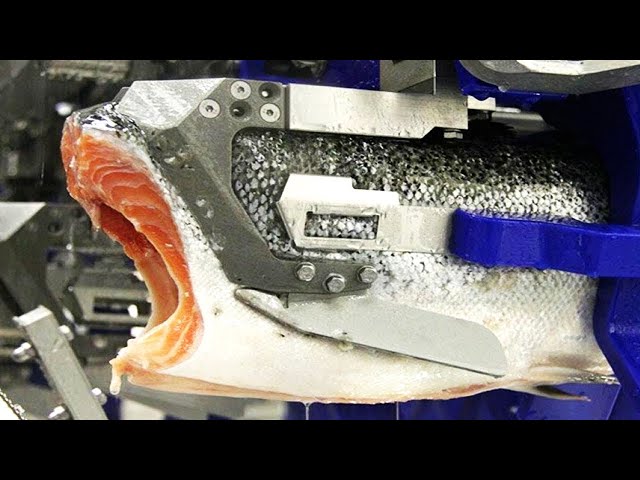 Modern Food Processing Technology That Are At Another Level | Best Moments of 2023