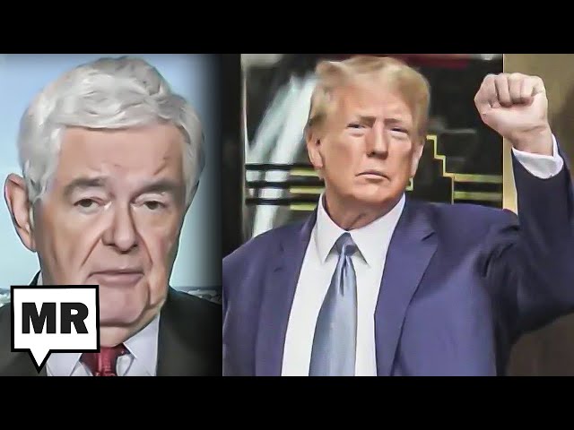Newt: Trump Being "Persecuted" Like 1960s Civil Rights Workers