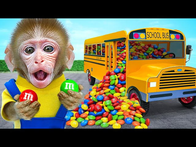 KiKi Monkey drives full of Mixing M&M Candy School Bus and ASMR rainbow fruit jelly|KUDO ANIMAL KIKI