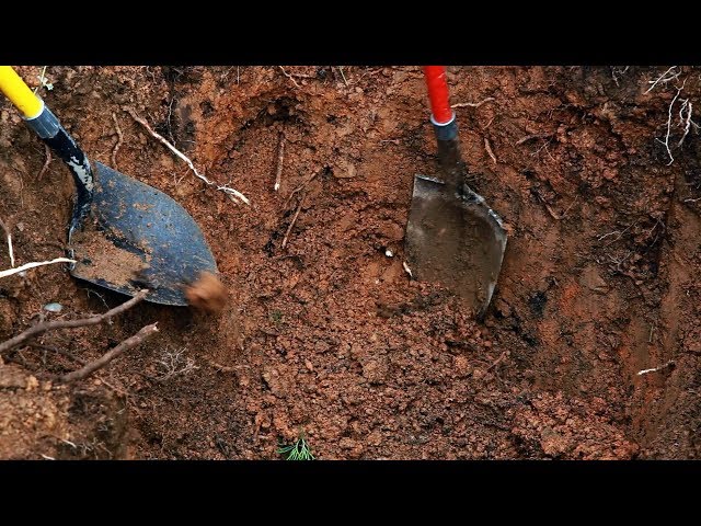The Dead Unknown Part 2 The Exhumation