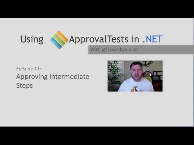 Using ApprovalTests in .Net 11 Intermediate Steps