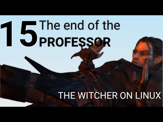 Teaching the professor a lesson (haha) - The Witcher on Linux - Part 15