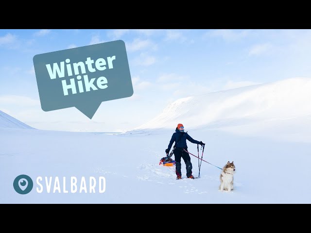 Sunday Hike on SVALBARD | Northernmost Norway | Winter