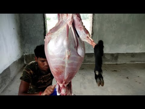 Mutton Curry Recipe | Cooking Full Goat in Village