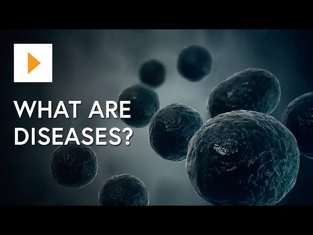 What Are Diseases?
