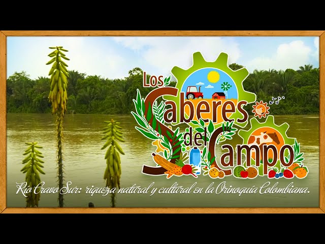 Los Saberes del Campo " Río Cravo Sur: riqueza natural y cultural en la Orinoquía Colombiana"