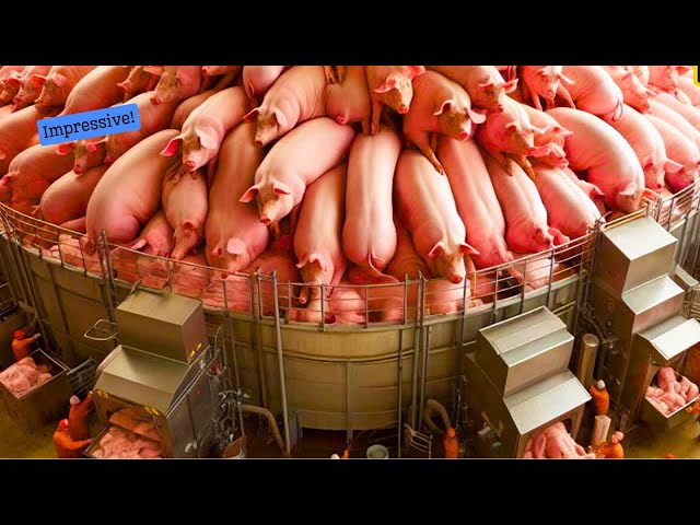 55 Amazing Videos Modern Food Technology Processing Machines That Are At Another Level 33