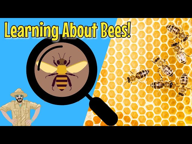Bees and Beekeeping for Kids