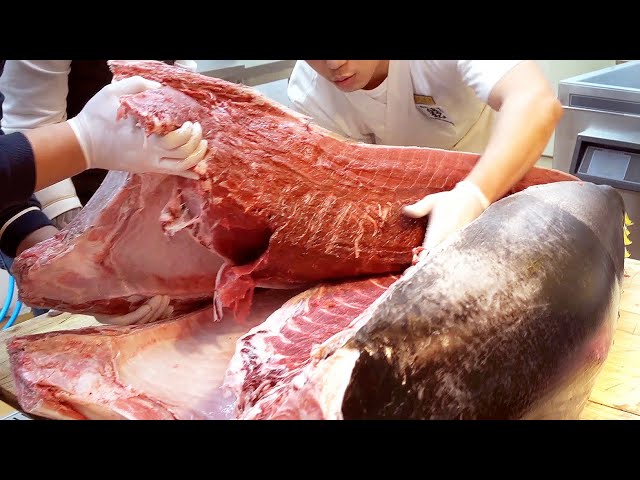 [All Ver] GIANT BLUEFIN TUNA FISH CUTTING SASHIMI & SUSHI / HOW TO CUT TUNA / SASHIMI DISH