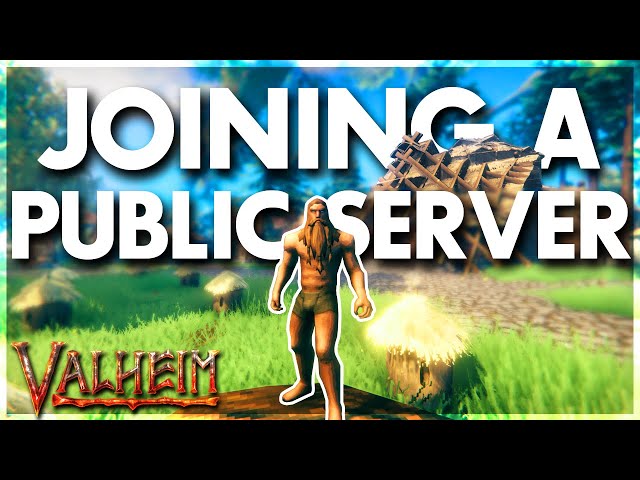 I Joined A Public Server In Valheim (again)