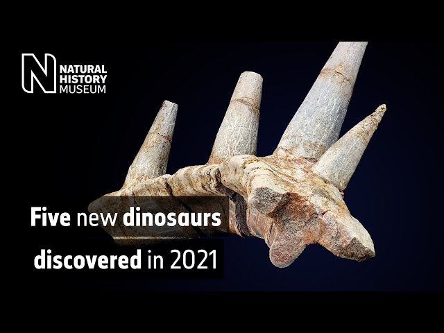 Five new species of dinosaur discovered in 2021 | Natural History Museum