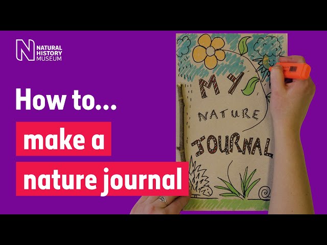 How to make a nature journal so you can record wildlife like a scientist | Natural History Museum