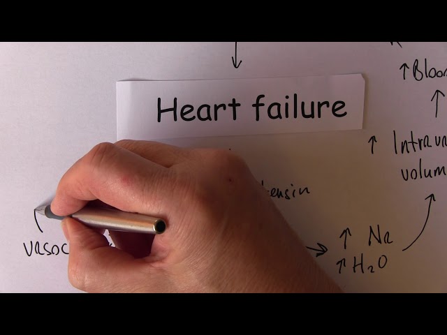 Heart Failure 5, Pathophysiology