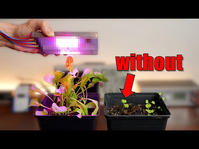 "Magical" LEDs let my plants grow faster? (Experiment) The Future of Farming!