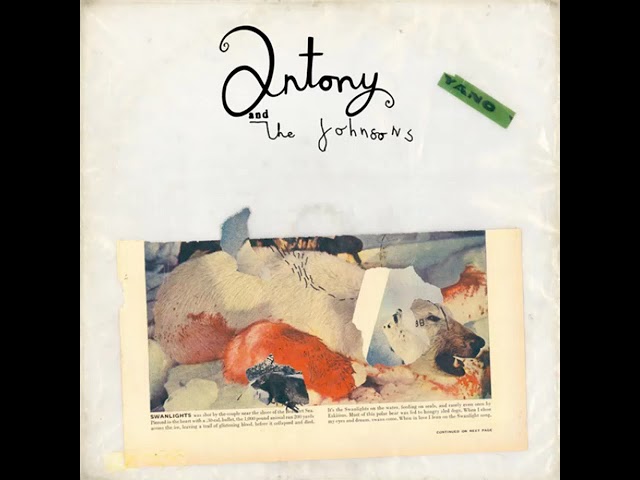 Antony And The Johnsons – Violetta