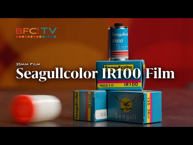 A rare Chinese 35mm color film hits the states - Shooting expired Seagullcolor IR100