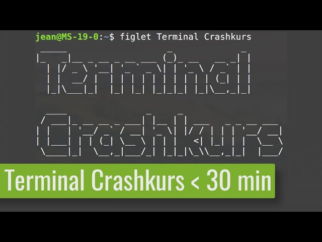 Terminal Crashkurs - Meistere den Linux Terminal in unter 30 Minuten!