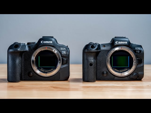 Canon R6 Mark II vs R5 - A Detailed Technical Comparison
