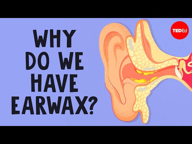What is earwax — and should you get rid of it? - Henry C. Ou
