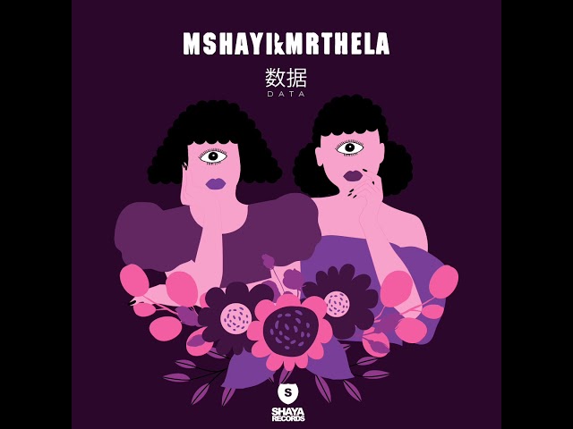 Mshayi & Mr Thela - Data