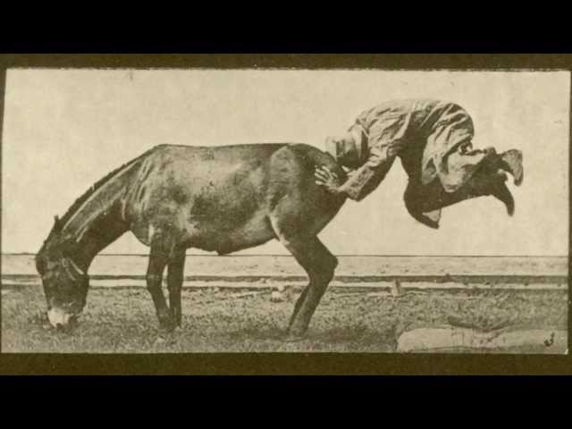 1886 Edward Muybridge - "Animal Locomotion 663: Mule - A Retractory Animal (Denver)"