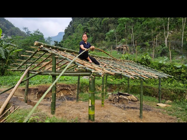 Build Bamboo House New For Bird - Daily life, Life with nature, Life Farm. Lý Thị Ca