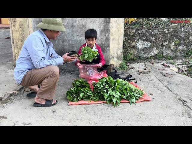 Orphan Boy - Harvesting Vegetables on the Farm, Going to the Market, Buying Garden Fences, Cooking