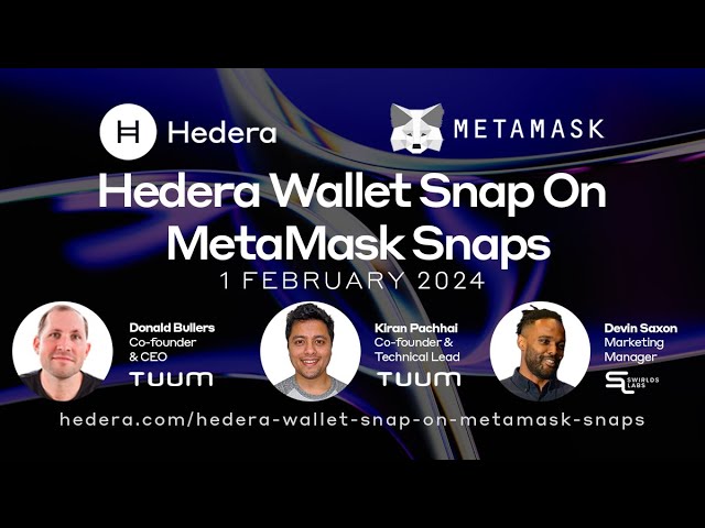 Webinar: Hedera Wallet Snap On MetaMask Snaps
