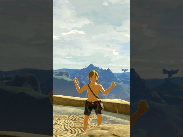 Did you notice this about Link's Animations in Tears of the Kingdom?