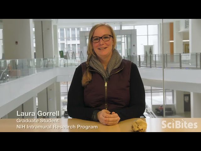 NIH SciBites:  Helping Cells Build Strong Bones