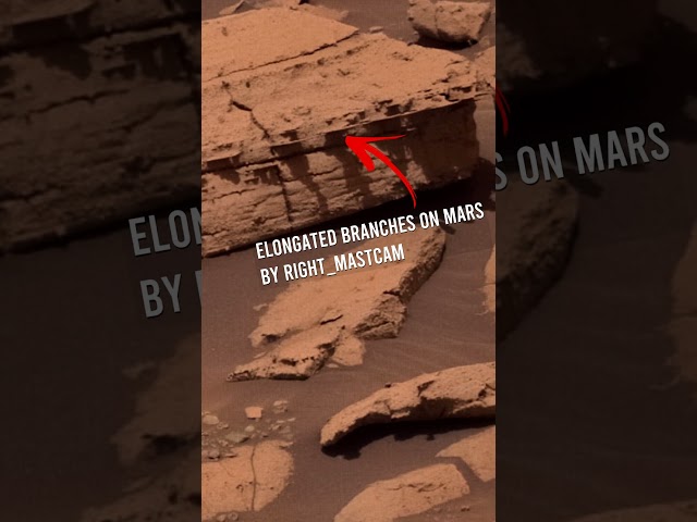 Mars' elongated rock shapes seen through Curiosity's Right_Mastcam