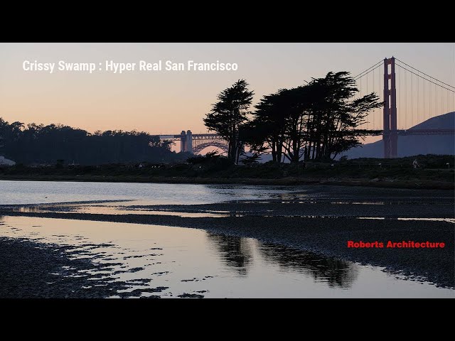Crissy Swamp: Hyperreal San Francisco