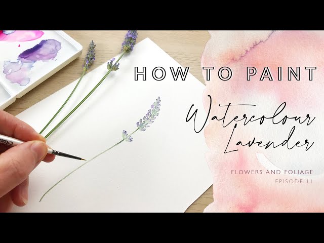 How to Paint Watercolour Lavender