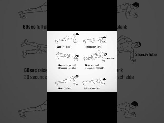 how to do a plank for Beginners | plank exercise for belly fat | Shanavtube | plank exercises