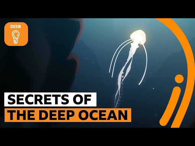 The secrets of the deep ocean | The Royal Society