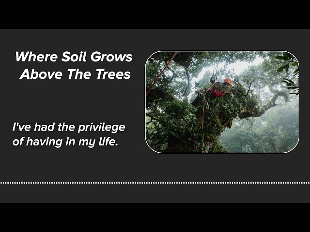 Where Soil Grows Above The Trees