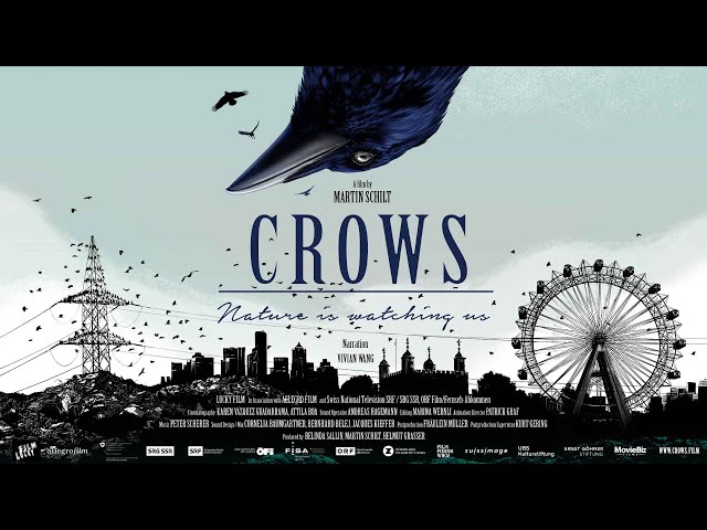Crows: Nature is Watching Us | Trailer | Available Now