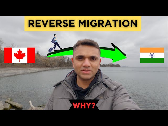 WHY ARE PEOPLE LEAVING CANADA IN 2024 || REVERSE MIGRATION EXPLAINED || MR PATEL ||
